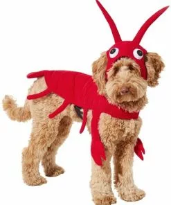 Frisco Red Lobster Dog & Cat Costume -The Frisco Store 158722 PT2. SY630 V1659023725