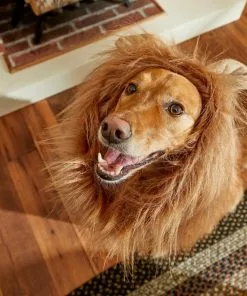 Frisco Lion Mane Dog & Cat Costume -The Frisco Store 158731 PT8. SY630 V1599139860