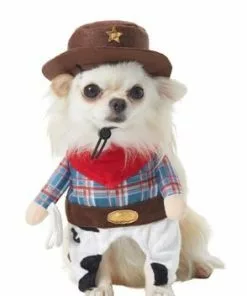 Frisco Front Walking Cowboy Dog & Cat Costume -The Frisco Store 158837 PT2. SY630 V1625870173