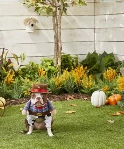 Frisco Front Walking Cowboy Dog & Cat Costume -The Frisco Store 158837 PT3. SY630 V1567176011