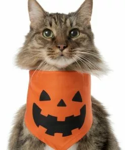 Frisco Jack O' Lantern Pumpkin Dog & Cat Hoodie 13 Frisco Jack O' Lantern Pumpkin Dog & Cat Hoodie -The Frisco Store 158886 PT2. SY630 V1637668889