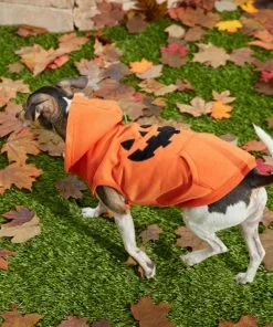 Frisco Jack O' Lantern Pumpkin Dog & Cat Hoodie 19 Frisco Jack O' Lantern Pumpkin Dog & Cat Hoodie -The Frisco Store 158886 PT8. SY630 V1599140774