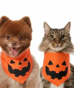 Frisco Jack O' Lantern Pumpkin Dog & Cat Bandana