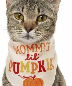 Frisco Mommy's Lil Pumpkin Dog & Cat Bandana -The Frisco Store 158936 PT2. SY630 V1633073776