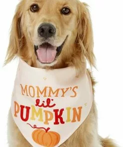 Frisco Mommy's Lil Pumpkin Dog & Cat Bandana -The Frisco Store 158936 PT3. SY630 V1633078003