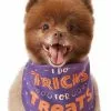 Frisco I Do Tricks For Treats Dog & Cat Bandana -The Frisco Store 158938 MAIN. SY630 V1633728989