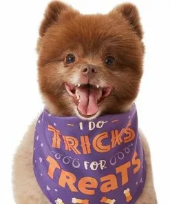 Frisco I Do Tricks For Treats Dog & Cat Bandana