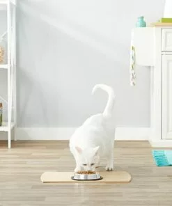 Frisco Non-Skid Stainless Steel Bowl 11 Frisco Non-Skid Stainless Steel Bowl -The Frisco Store 159860 PT4. SY630 V1570543031