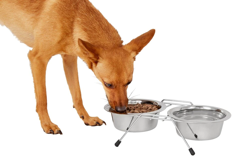 Frisco Non-Skid Elevated Dog & Cat Diner 5 Frisco Non-Skid Elevated Dog & Cat Diner - Image 3