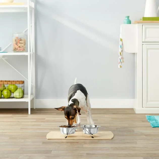 Frisco Non-Skid Elevated Dog & Cat Diner 6 Frisco Non-Skid Elevated Dog & Cat Diner - Image 4