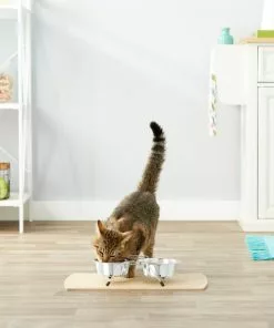 Frisco Non-Skid Elevated Dog & Cat Diner 11 Frisco Non-Skid Elevated Dog & Cat Diner -The Frisco Store 159881 PT4. SY630 V1561123082