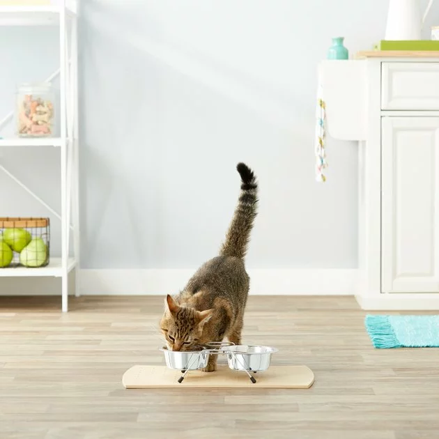 Frisco Non-Skid Elevated Dog & Cat Diner 7 Frisco Non-Skid Elevated Dog & Cat Diner - Image 5