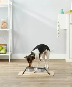 Frisco Pyramid Elevated Dog & Cat Diner 10 Frisco Pyramid Elevated Dog & Cat Diner -The Frisco Store 159883 PT3. SY630 V1561123335