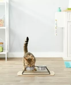 Frisco Pyramid Elevated Dog & Cat Diner 11 Frisco Pyramid Elevated Dog & Cat Diner -The Frisco Store 159883 PT4. SY630 V1561123329