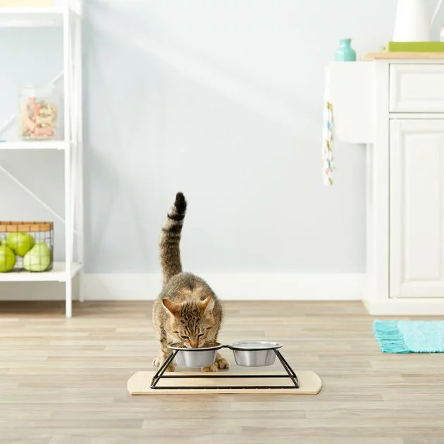 Frisco Pyramid Elevated Dog & Cat Diner 7 Frisco Pyramid Elevated Dog & Cat Diner - Image 5