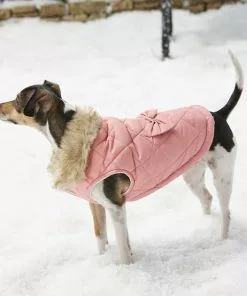 Frisco Aspen Insulated Quilted Dog & Cat Jacket with Bow -The Frisco Store 160285 PT6. SY630 V1567617783
