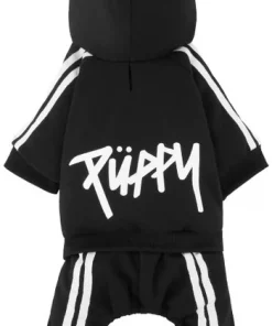 Frisco Püppy Dog & Cat Athletic Tracksuit -The Frisco Store 160361 PT4. SY630 V1567003697