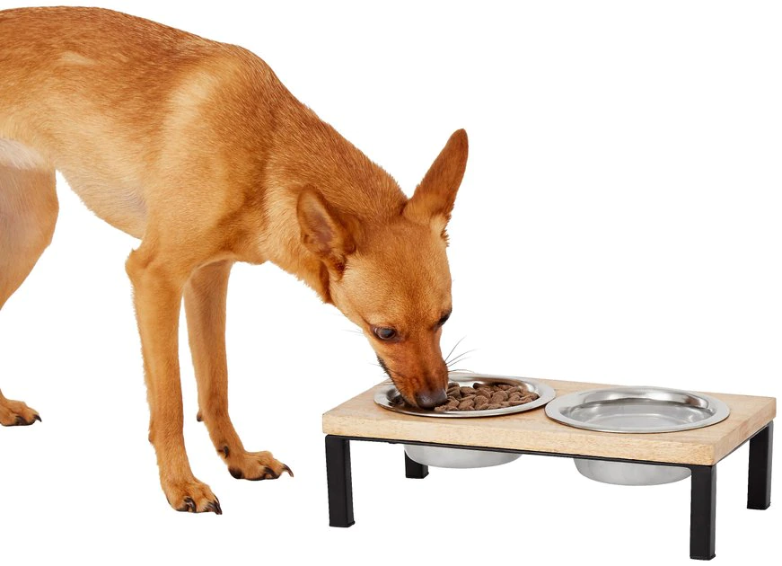 Frisco Wooden Elevated Dog & Cat Diner 3 Frisco Wooden Elevated Dog & Cat Diner