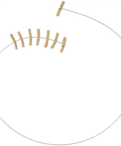 Frisco Wire Teaser Cat Toy