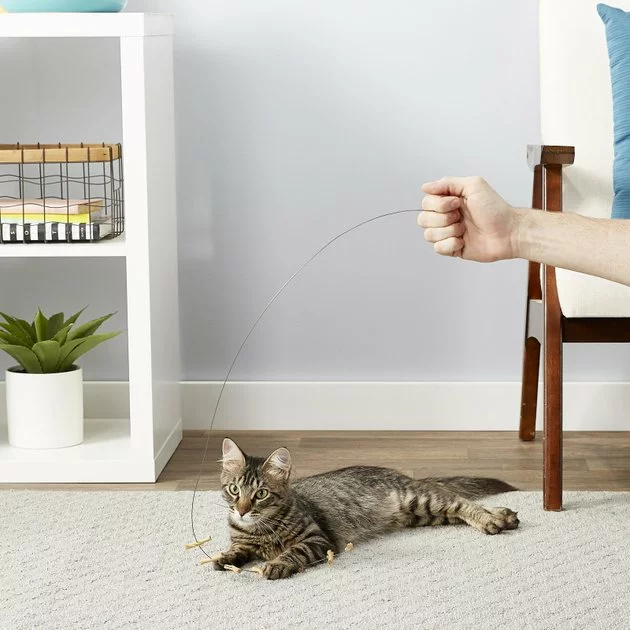 Frisco Wire Teaser Cat Toy 5 Frisco Wire Teaser Cat Toy - Image 3