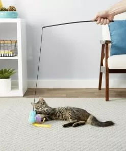 Frisco Bird Teaser with Feathers Cat Toy 7 Frisco Bird Teaser with Feathers Cat Toy -The Frisco Store 161199 PT2. SY630 V1568910139