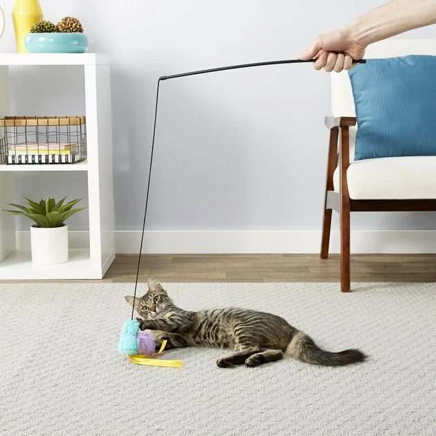 Frisco Bird Teaser with Feathers Cat Toy 5 Frisco Bird Teaser with Feathers Cat Toy - Image 3