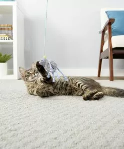 Frisco Bouncy Mouse Cat Toy -The Frisco Store 161259 PT1. SY630 V1568910124