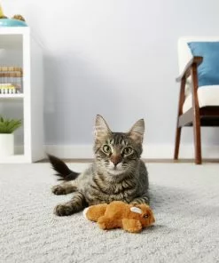 Frisco Refillable Catnip Cat Toy 7 Frisco Refillable Catnip Cat Toy -The Frisco Store 161271 PT2. SY630 V1568910005