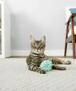 Frisco Moppy Ball Cat Toy 5 Frisco Moppy Ball Cat Toy -The Frisco Store 161280 PT1. SY630 V1568909977