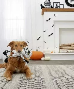 Frisco Mummy Plush with Rope Squeaky Dog Toy -The Frisco Store 161354 PT2. SY630 V1563230312