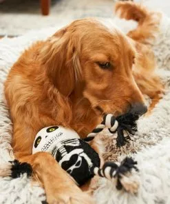 Frisco Halloween Skeleton Plush with Rope Squeaky Dog Toy 10 Frisco Halloween Skeleton Plush with Rope Squeaky Dog Toy -The Frisco Store 161358 PT6. SY630 V1597599370
