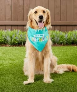 Frisco Dog & Cat Birthday Bandana -The Frisco Store 162803 PT5. SY630 V1568147526