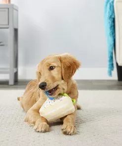 Frisco Plush Birthday Cake Slice with Squeaker Dog Toy -The Frisco Store 162906 PT2. SY630 V1565379438