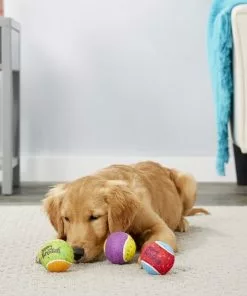 Frisco Fetch Squeaking Birthday Tennis Ball Dog Toy, 3-Pack -The Frisco Store 162914 PT2. SY630 V1565379548