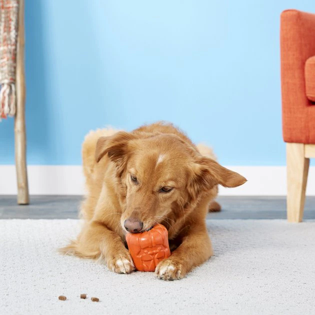 Frisco Halloween Pumpkin Rubber Treat Dispenser Dog Toy 6 Frisco Halloween Pumpkin Rubber Treat Dispenser Dog Toy - Image 4