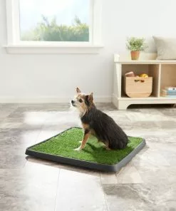 Frisco Indoor Grass Potty -The Frisco Store 166343 PT2. SY630 V1657656049