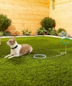 Frisco Tie Out Cable, Small 5 Frisco Tie Out Cable, Small -The Frisco Store 166379 PT2. SY630 V1576680480