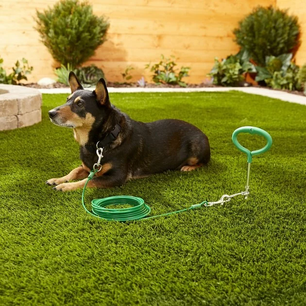 Frisco Tie Out Cable, Large 4 Frisco Tie Out Cable, Large - Image 2