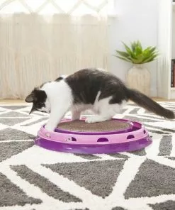 Frisco Scratch & Roll Scratcher Cat Toy with Catnip 7 Frisco Scratch & Roll Scratcher Cat Toy with Catnip -The Frisco Store 166516 PT3. SY630 V1573664911