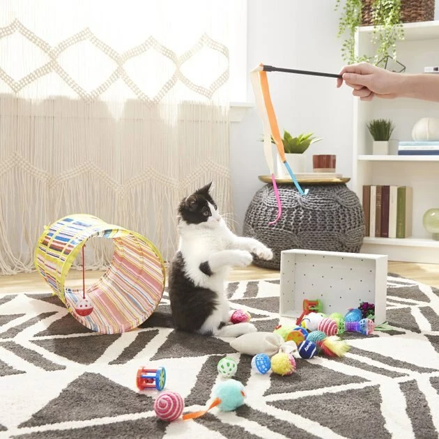 Frisco Plush, Teaser, Ball & Tunnel Variety Pack Cat Toy with Catnip, 25 count 4 Frisco Plush, Teaser, Ball & Tunnel Variety Pack Cat Toy with Catnip, 25 count - Image 2