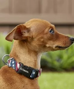 Frisco American Flag Polyester Dog Collar 9 Frisco American Flag Polyester Dog Collar -The Frisco Store 172487 PT2. SY630 V1629152228