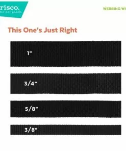 Frisco American Flag Polyester Dog Collar 11 Frisco American Flag Polyester Dog Collar -The Frisco Store 172487 PT5. SY630 V1629155220