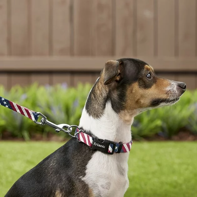 Frisco American Flag Polyester Dog Leash 4 Frisco American Flag Polyester Dog Leash - Image 2