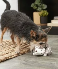 Frisco Plush Squeaking Hedgehog Dog Toy -The Frisco Store 174677 PT2. SY630 V1574271550