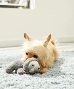 Frisco Plush Squeaking Sloth Dog Toy 7 Frisco Plush Squeaking Sloth Dog Toy -The Frisco Store 174680 PT2. SY630 V1573492414