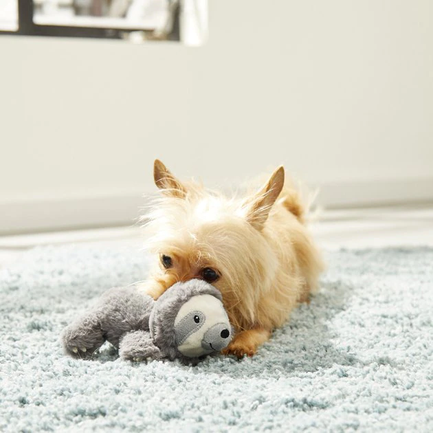 Frisco Plush Squeaking Sloth Dog Toy 5 Frisco Plush Squeaking Sloth Dog Toy - Image 3