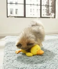 Frisco Plush Squeaky Duck Dog Toy -The Frisco Store 174684 PT2. SY630 V1573492408