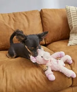 Frisco Plush with Inside Rope Squeaking Pig Dog Toy -The Frisco Store 174725 PT2. SY630 V1573492728