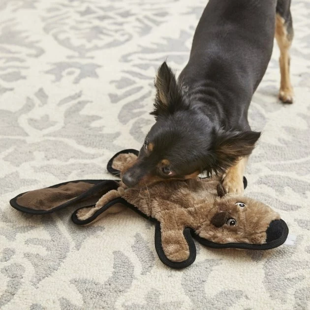 Frisco Flat Plush Squeaking Beaver Dog Toy 5 Frisco Flat Plush Squeaking Beaver Dog Toy - Image 3