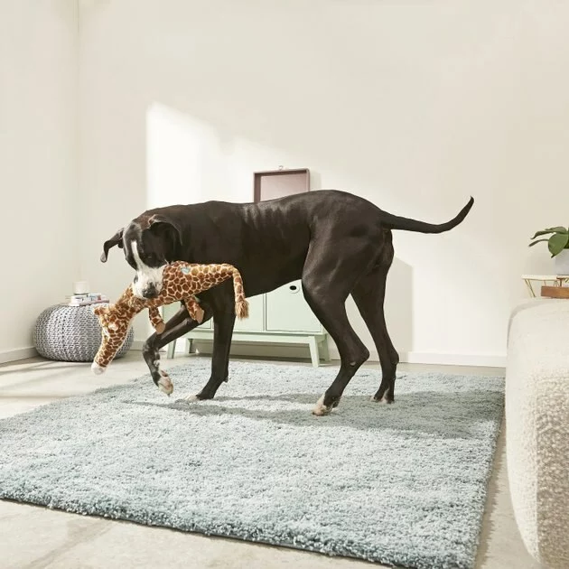 Frisco Wagazoo Plush Squeaking Giraffe Dog Toy 5 Frisco Wagazoo Plush Squeaking Giraffe Dog Toy - Image 3